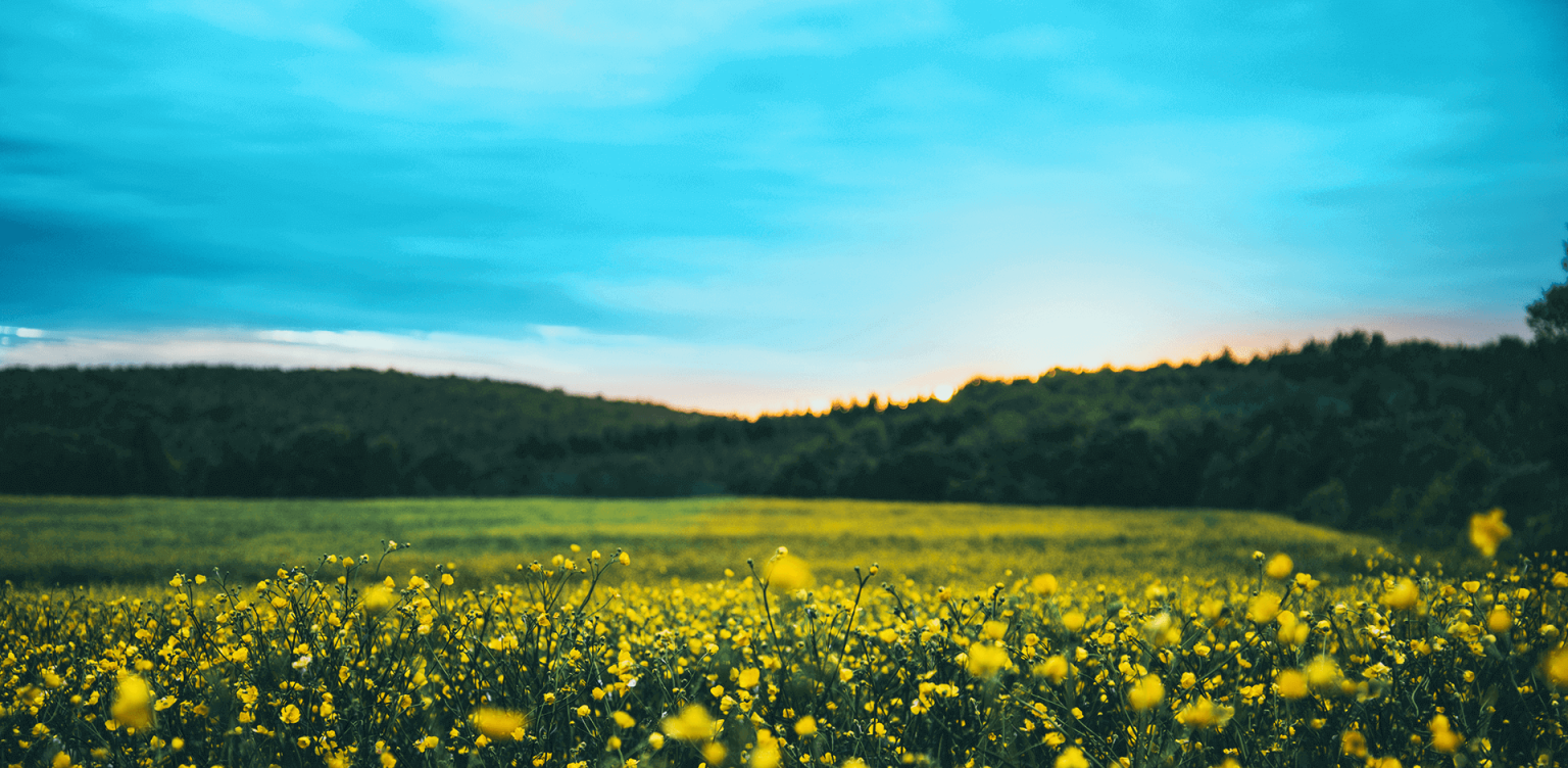 Deer Heating & Cooling serving the Miami Valley since 1996 Deer